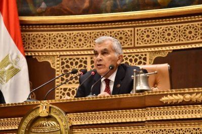  المستشار عصام الدين فريد