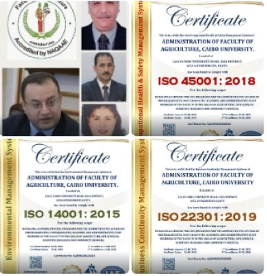 كلية الزراعة جامعة القاهرة تحصد 3شهادات أيزو دولية