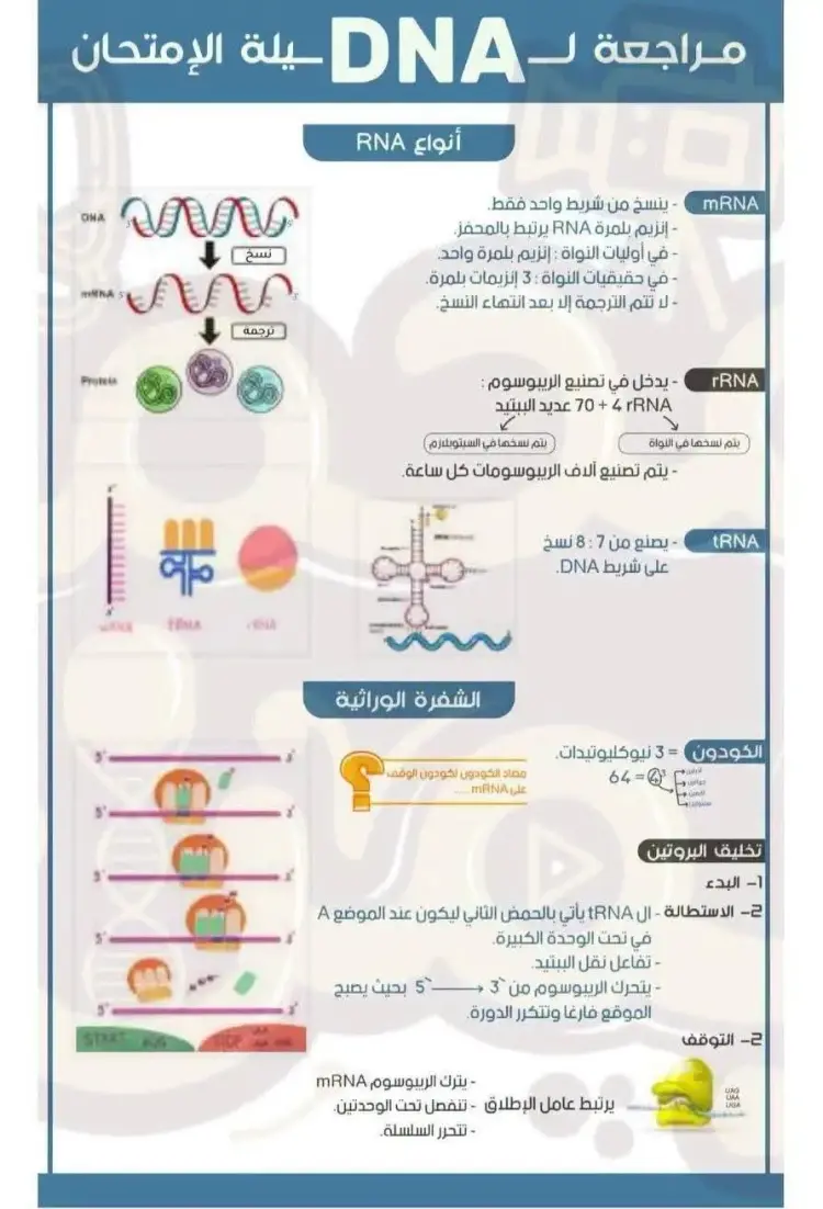 خلاصة الخلاصة في الأحياء ثالثة ثانوي 2026 لحصد الدرجة النهائية - منهج مجاني