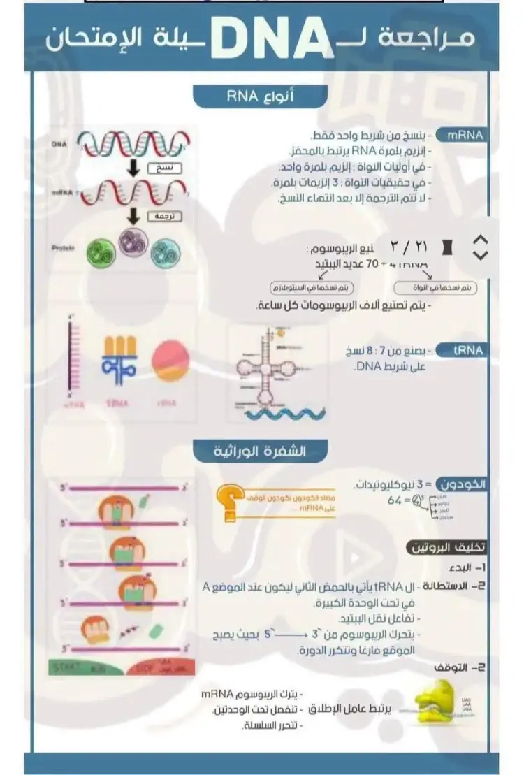 خلاصة الخلاصة في الأحياء ثالثة ثانوي 2026 لحصد الدرجة النهائية - منهج مجاني