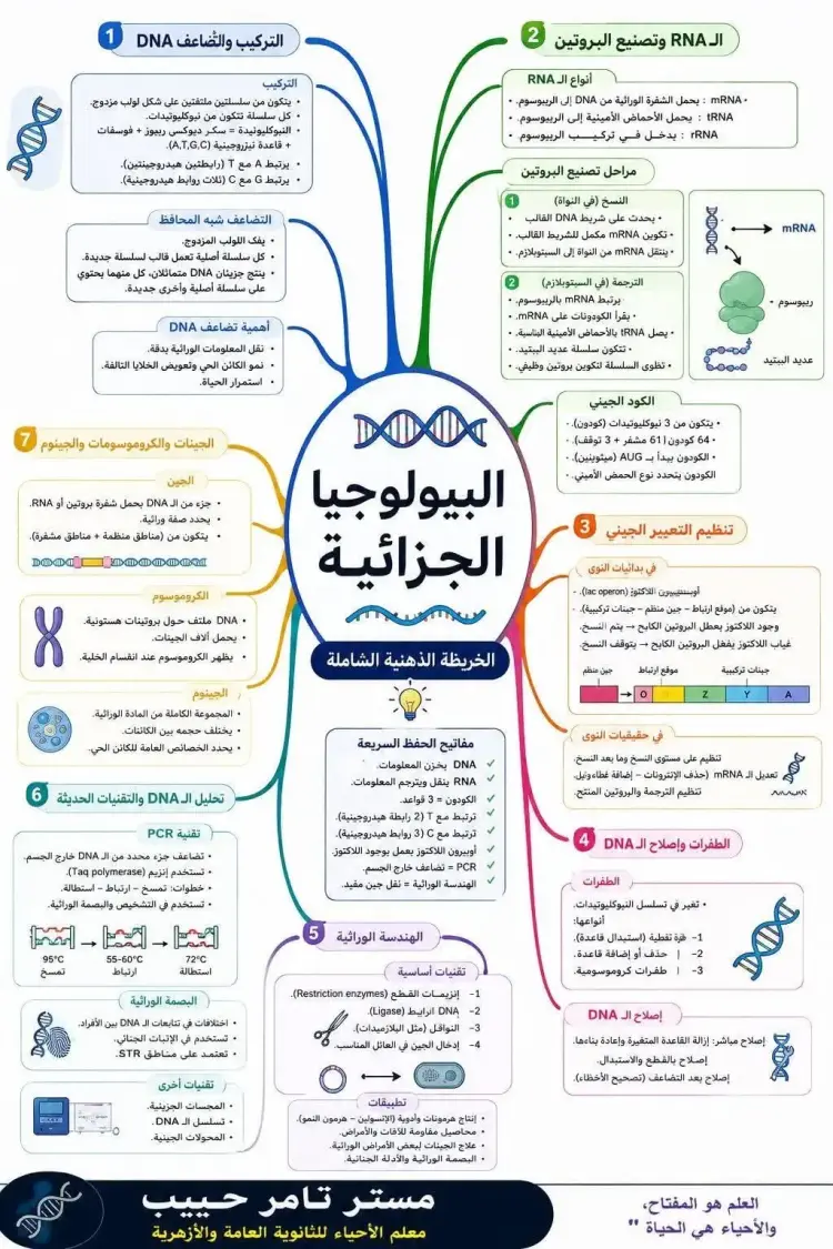 خريطه ذهنية للبيولوجيا الجزئية لطلاب الثانوية العامة 2026 - منهج مجاني