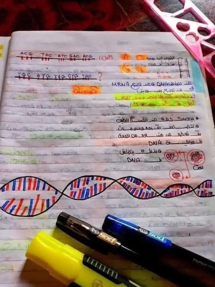 ملخص DNA في مادة الأحياء لطلاب الثانوية العامة 2026.. راجع قبل الامتحان - منهج مجاني