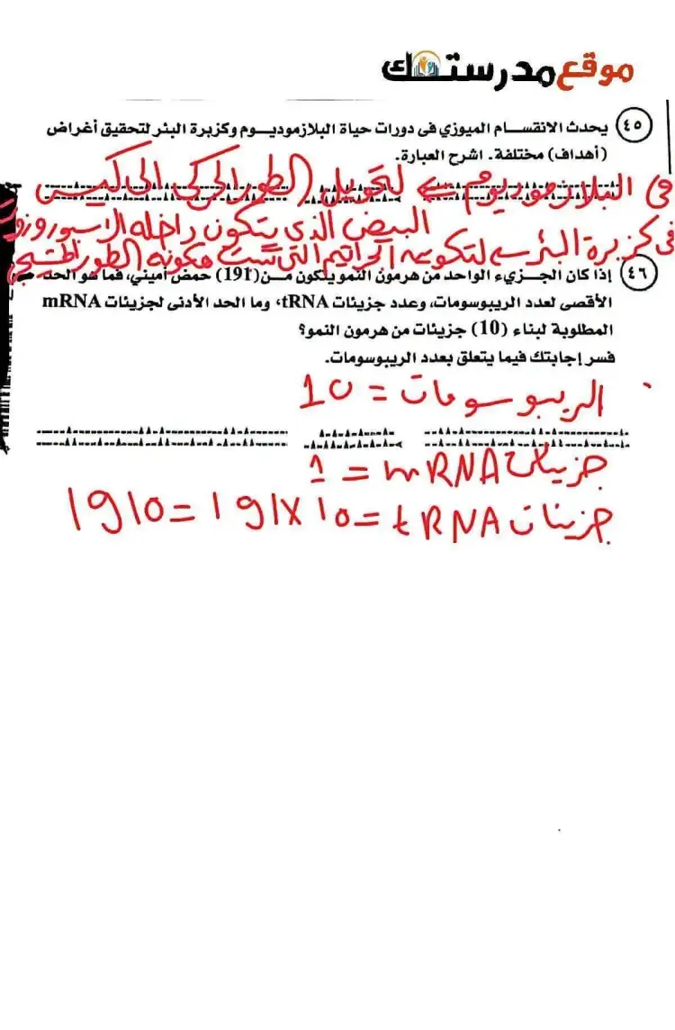 امتحان أحياء تالتة ثانوي 2026 المتوقع بالحل - منهج مجاني
