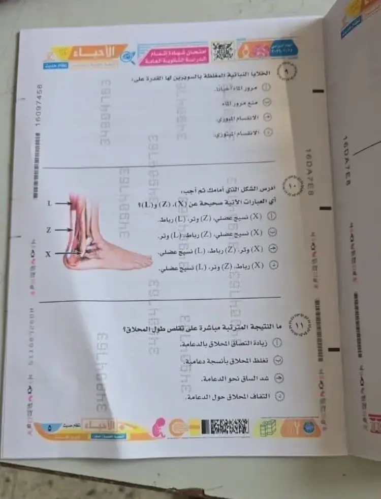 ورقة امتحان الأحياء للصف الثالث الثانوي 2026.. ننشر المواصفات - منهج مجاني
